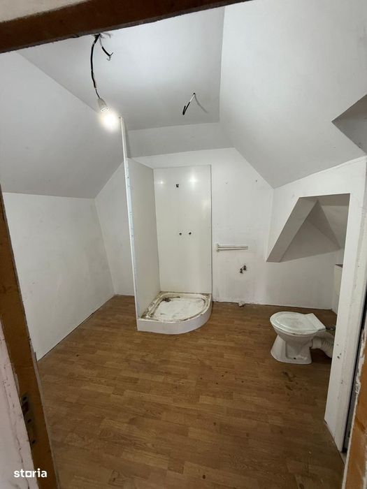 Casă + curte în centrul localității Şura Mică- direct de la proprietar
