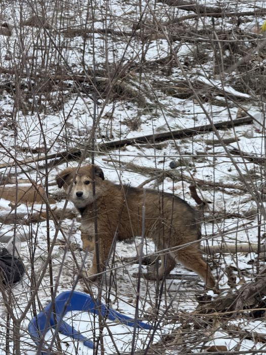 Помогите найти дом