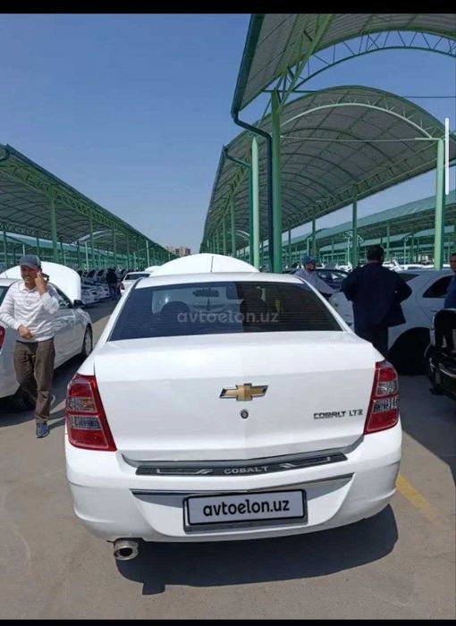 Other Cobalt 2022 — 3