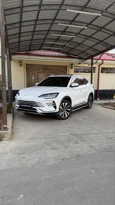 Byd chimpion 110 tali giprit