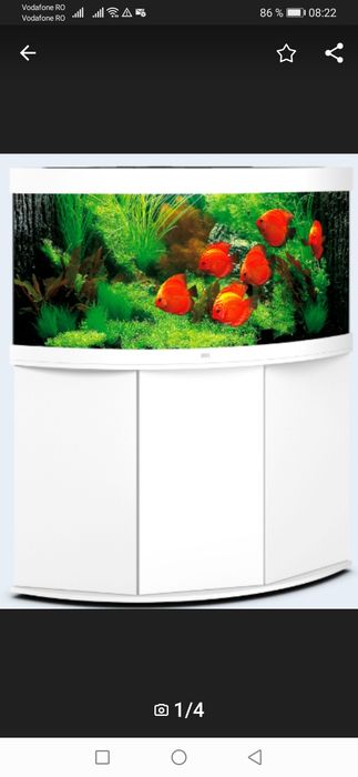 Juwel trigon 190