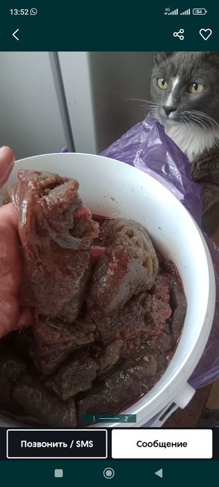 Балықтың басы сатылады және икрасы сатылады
