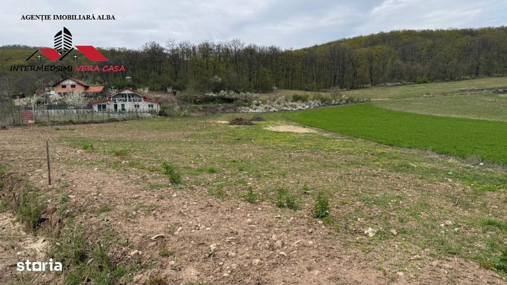 Teren intravilan 833 mp de vanzare in Ampoita Jud Alba