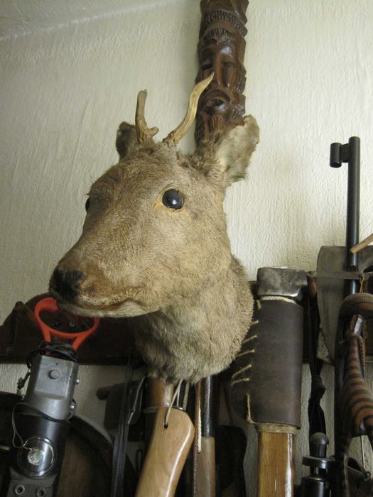 Ловен Трофей Сръндак!