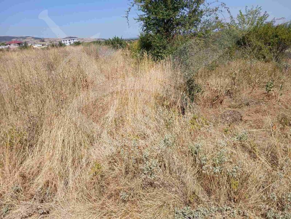 Парцел Родопска яка 62713