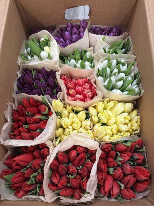 Тюльпаны к 8 марта