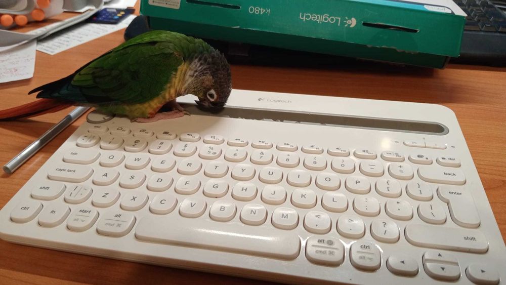 Tastatura Logitech K480. Max 3 device, Bluetooth, folosita.