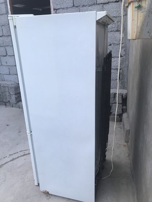 Холодильник гарантия 5