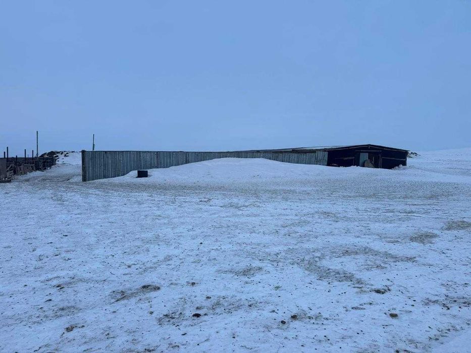 Продам крестьянское хозяйство