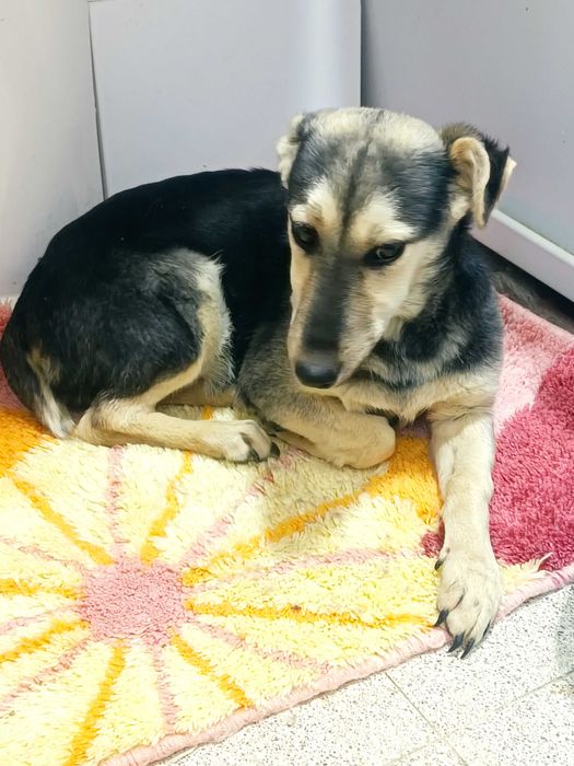 Zara, 6 месяцев, такая умная