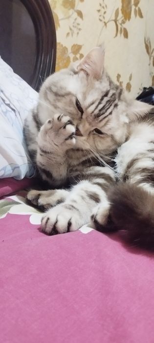 Вязка. Насл олиш