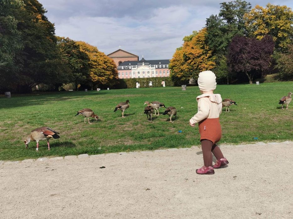 Lot hainute 80 cm (9-18 luni, merg pana la 18 luni) -16 articole-1 leu