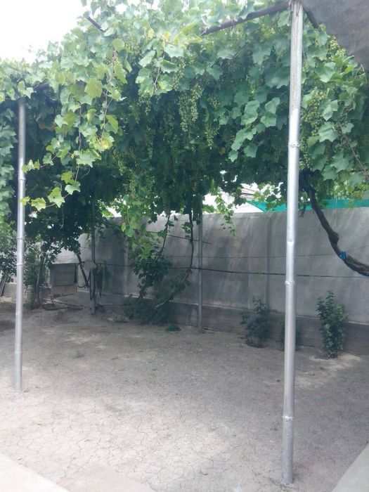 Hovli Sotiladi Zangiota Bog'zor