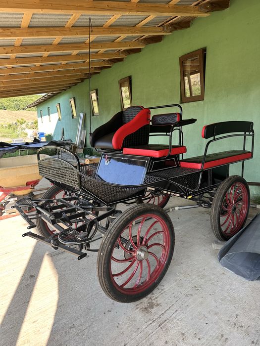 Trasura maraton stare noua