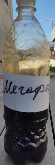 Гербициды  на свеклу