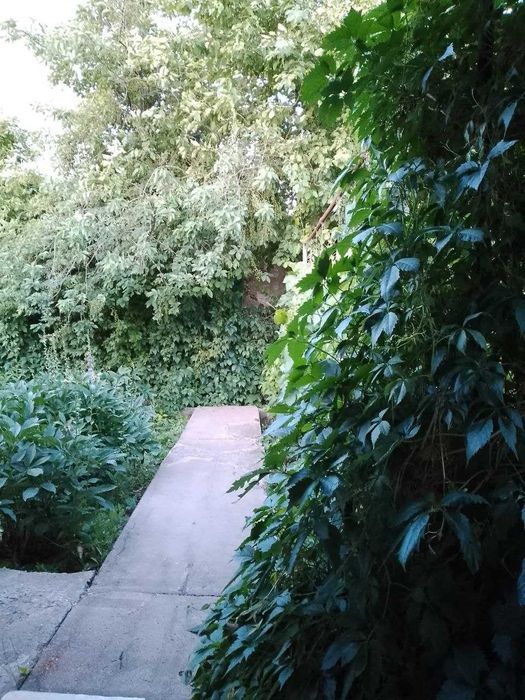 дачный участок с/к Олимпиец