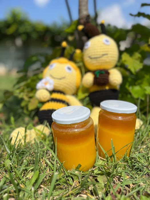 Пчелен манов мед