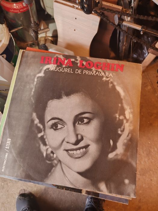Discuri vinil în stare foarte buna