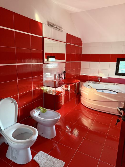 Inchiriez casa ultracentral - Parcul Romanescu - Str. Corneliu Coposu