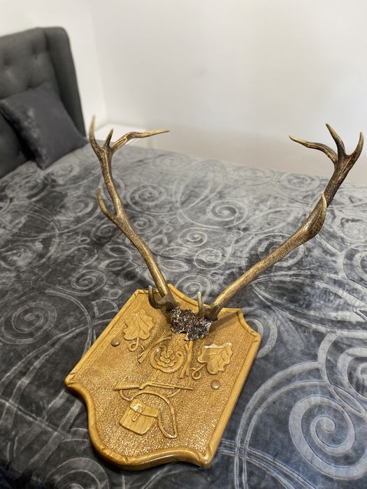 Trofeu Coarne Vanatoare