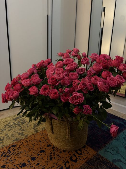 101 китайская кустовая роза