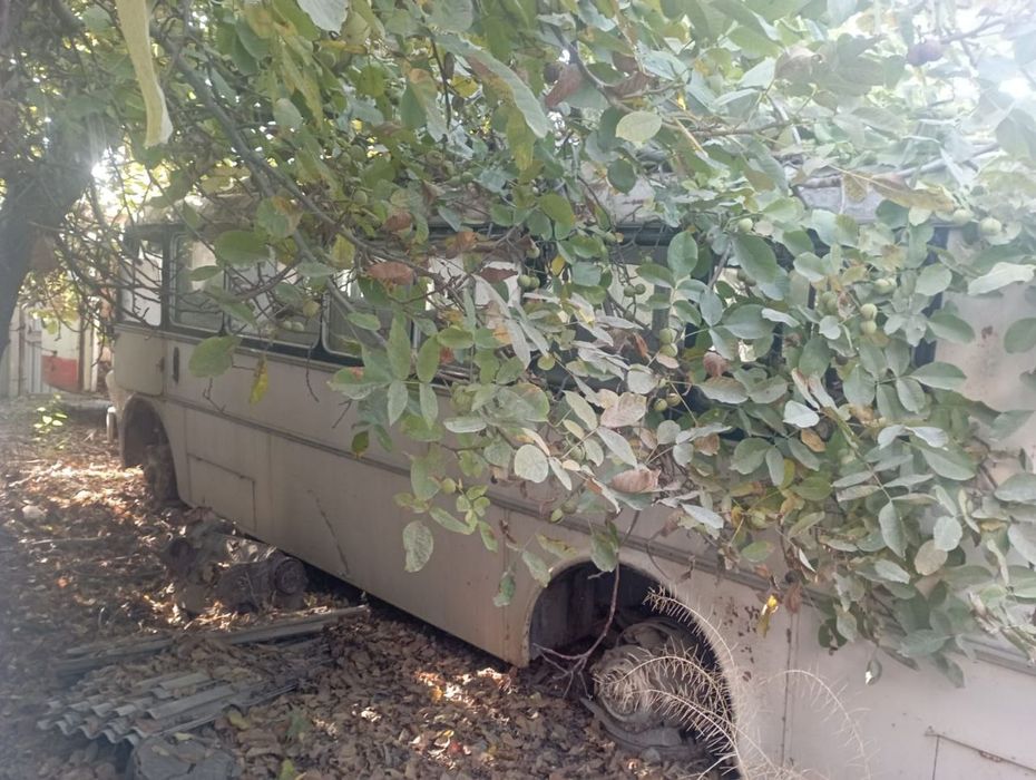 Автобус Икарус 620