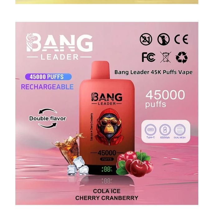 Pachet 2 Bang Leader 45.000 Puffs 2 in 1 Reîncărcabil