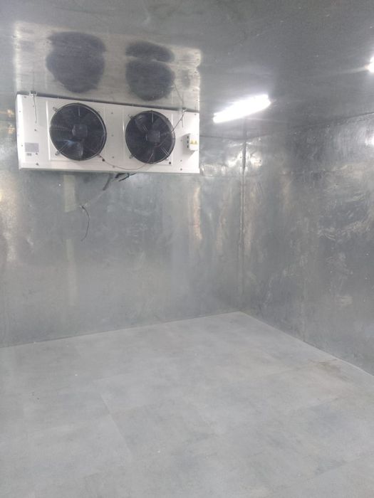 Аренда контейнера морозильника