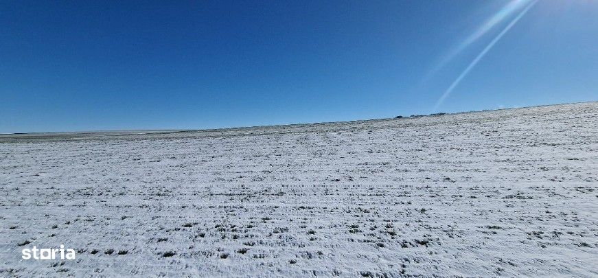 Teren extravilan Magura, ID: R2944340