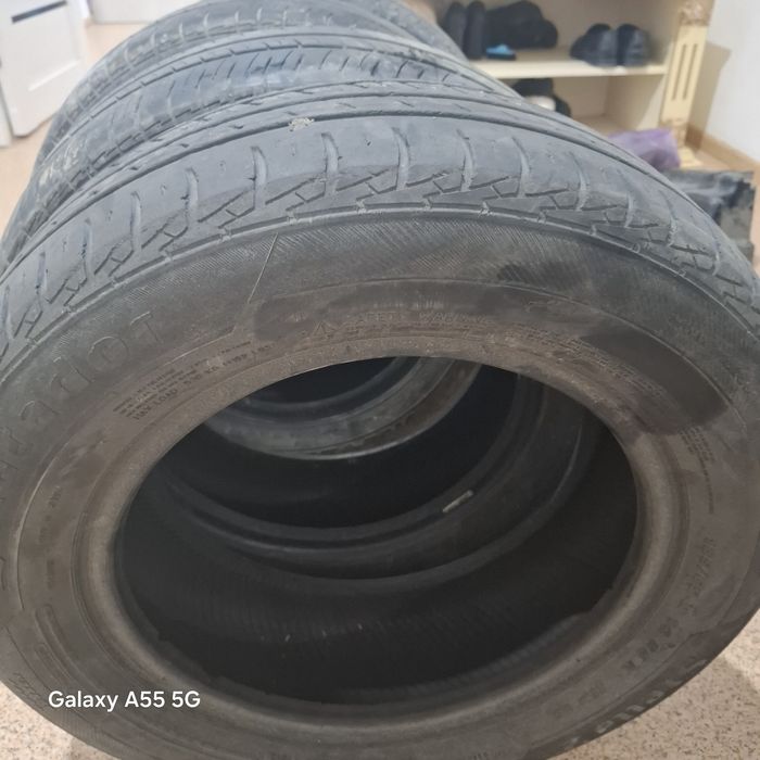 Баландар жаксы жагдайда