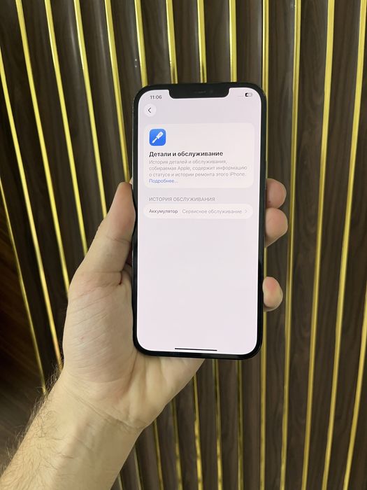 Iphone 12 Pro Max 256 Айфон 12 Макс 256