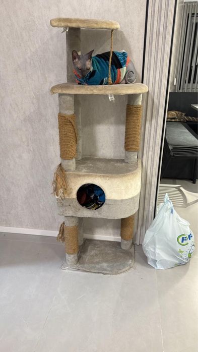 Кошачий домик б/у