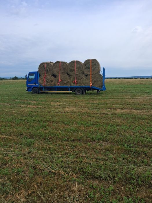 Baloti lucerna mega mari! 150 ×125