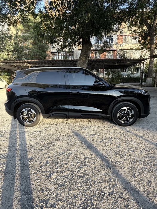 byd yuan up 2025