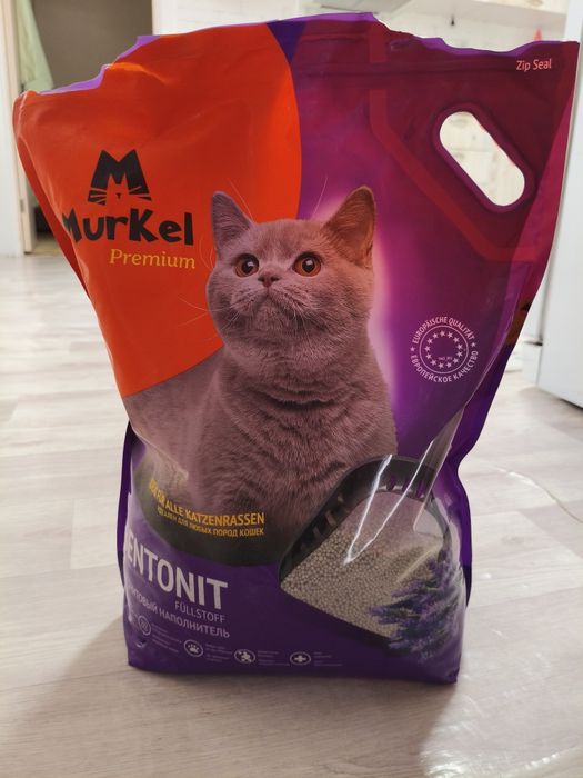 Отдам Котёнка девочку