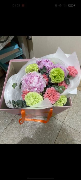 Продам цветы flobar