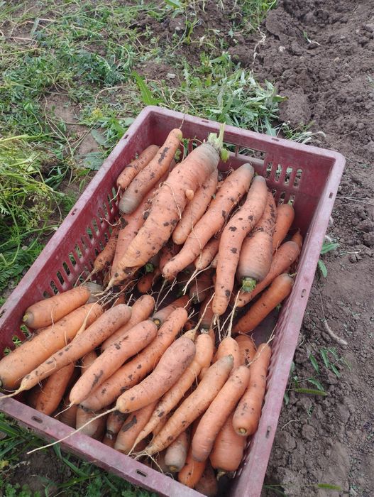 Продам дом в Агротехснаб