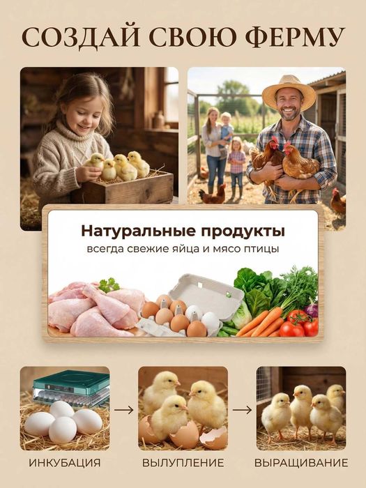 Инкубатор для яиц, автоматический, цифровой дисплей, с переворотом,