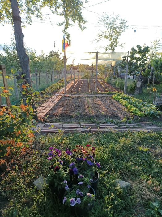 Vand casa  cu panouri fotovoltaice montate ,in sat Balta Alba ,Buzau