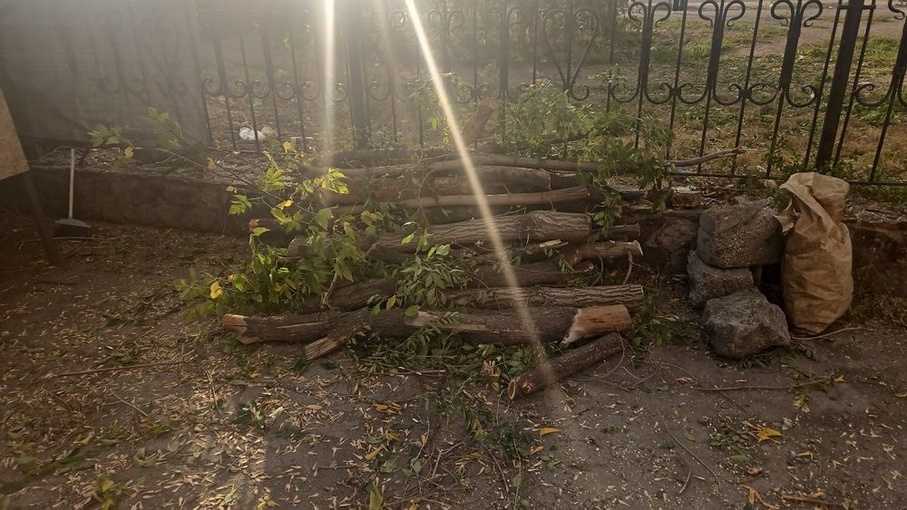 Дрова бесплатно сомавывоз