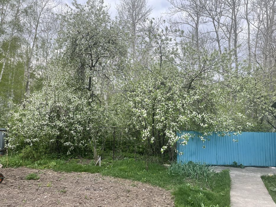 Дача для семьи или под бизнес.