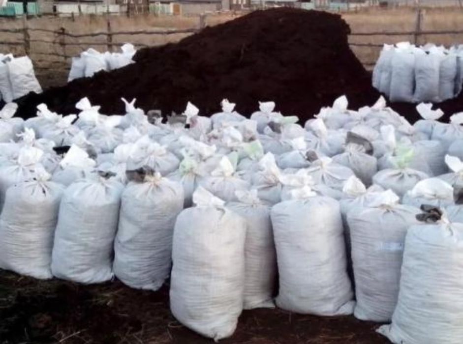 Көн. (навоз)     .