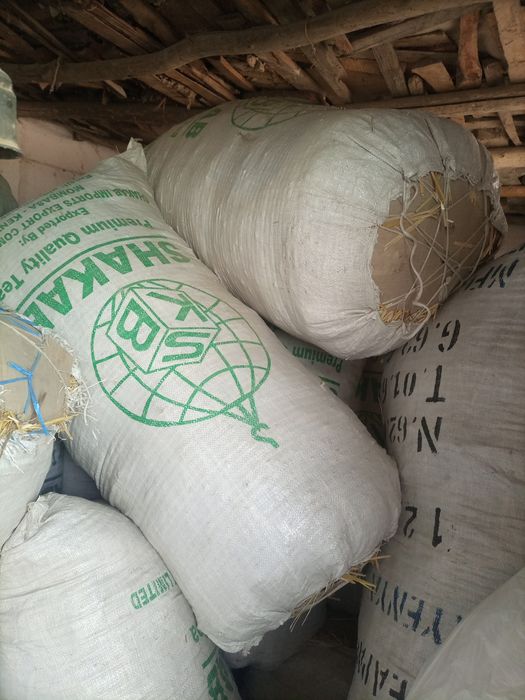 Somon sotiladi qopda