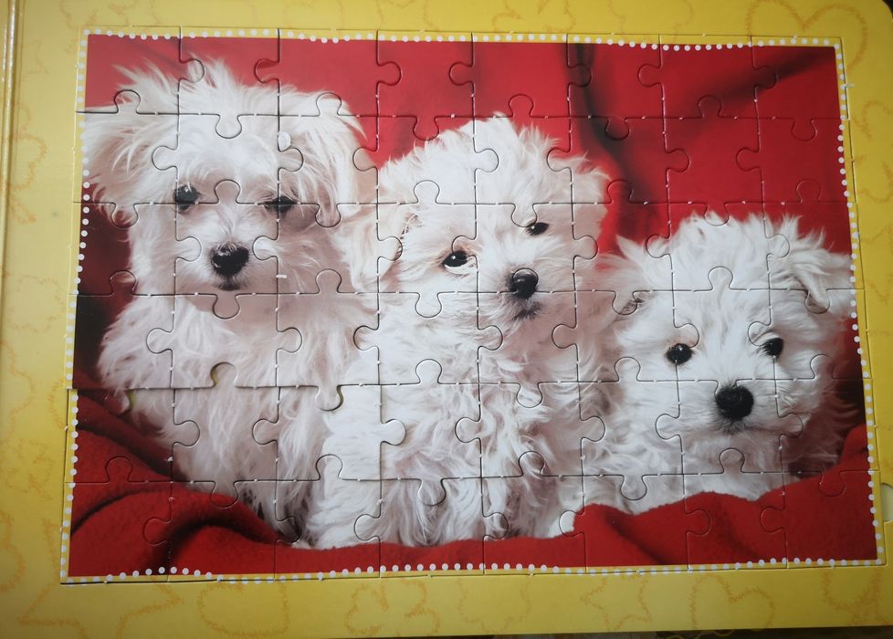 Carte puzzle animale domestice, cartonata, cai, câini, NOI