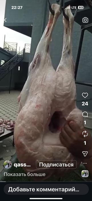 Кассоб хизмати сифатли