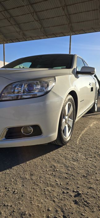 Malbu1 2chi podisiya