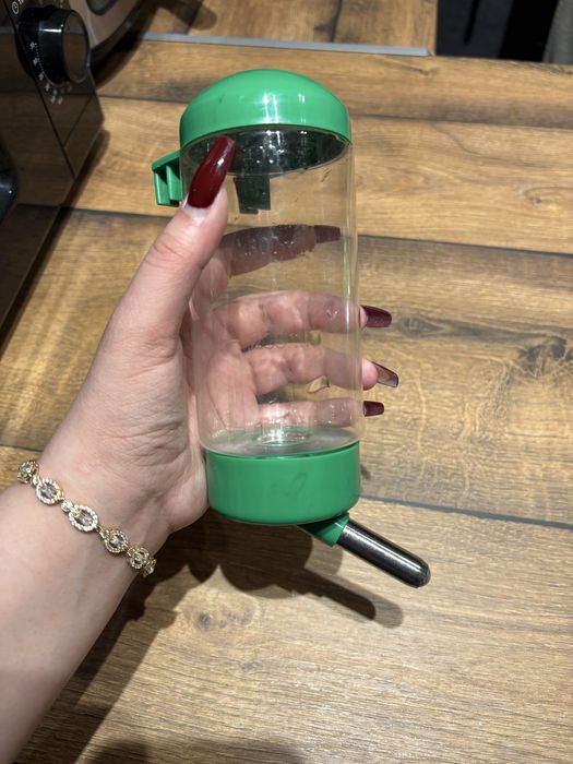 Всичко за хамстери