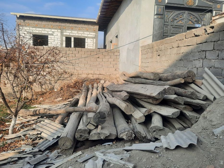 Болол сафедор опши