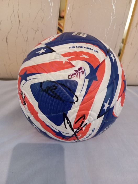 Koptok yangi kafolati bor