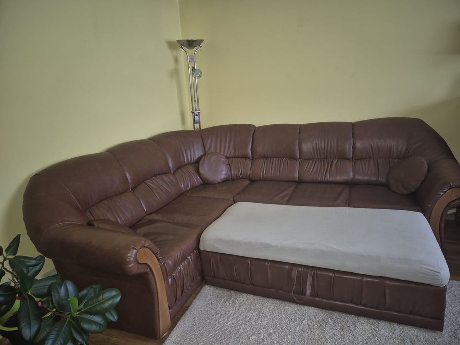 Coltar L  model Piele